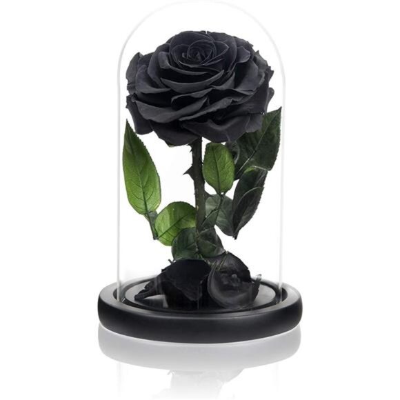 NATROSES Handmade Preserved Roses in Glass Dome, Long lasting Black Roses Real - Picture 8 of 16